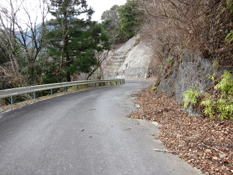 20200204hike (431)